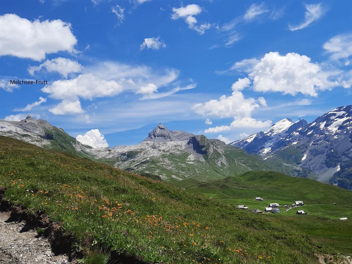 Сasa de vacaciones Haus Nussbaumweg 6